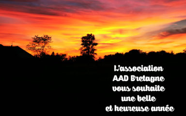 Vœux AAD Bretagne 2020