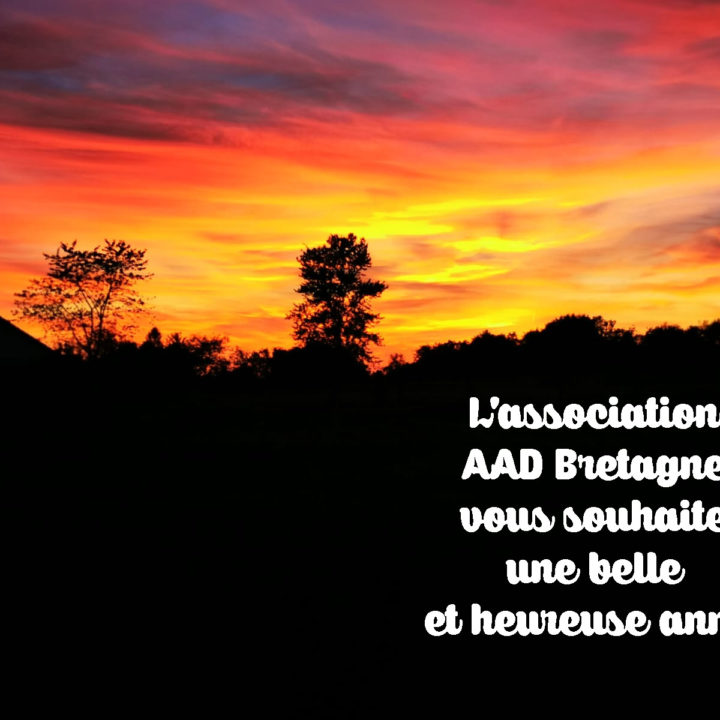 Vœux AAD Bretagne 2020
