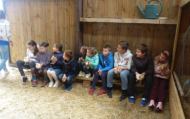 18 mai 2019 : Groupe enfants / Visite à la ferme