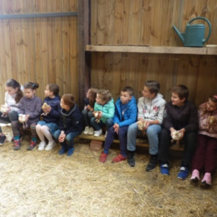 18 mai 2019 : Groupe enfants / Visite à la ferme