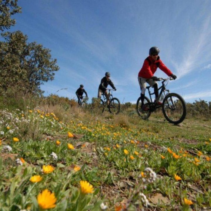 Samedi 21 mars à 9h30  Sortie VTT