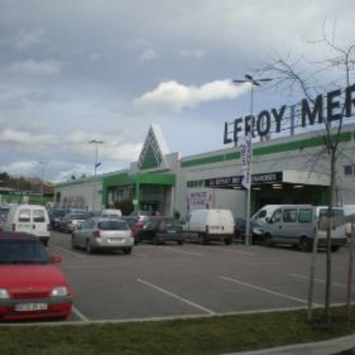11 mars 2020 : sensibilisation aux troubles dys dans le magasin Leroy-Merlin de Saint-Priest en Jarez (Saint-Etienne)