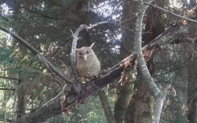 17 mai 2020 : réunion des familles