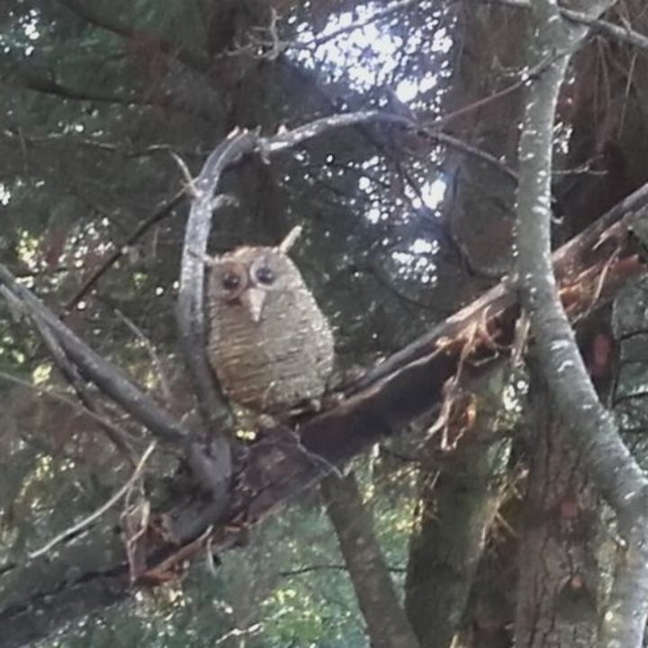 17 mai 2020 : réunion des familles