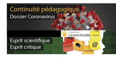 COMPRENDRE LE CORONAVIRUS au collège dans l’esprit scientifique et l’esprit critique