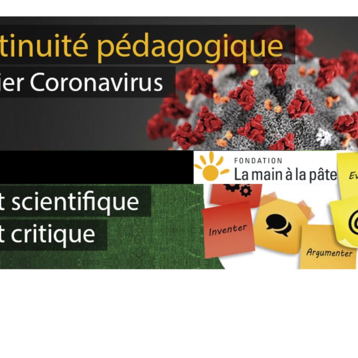 COMPRENDRE LE CORONAVIRUS au collège dans l’esprit scientifique et l’esprit critique