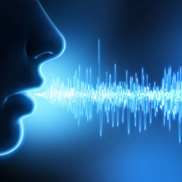 Samedi 26 mars 2022 – 10h30 à 11h30 – Conférence sur « la Dysphasie en 2022 » via ZOOM par le Docteur Marianne Chatriot