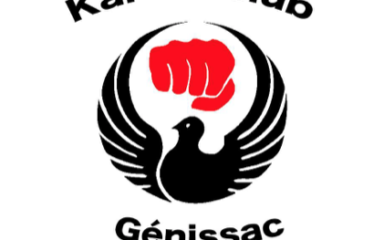 L’art martial au service des troubles dys à Génissac (33)