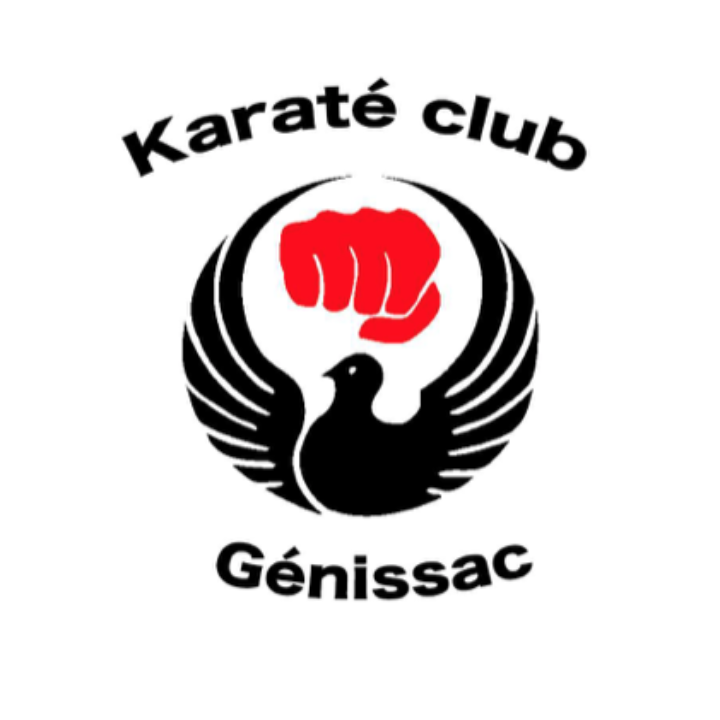 L’art martial au service des troubles dys à Génissac (33)