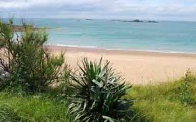 AAD Bretagne permanences Ille-et-Vilaine en 2023