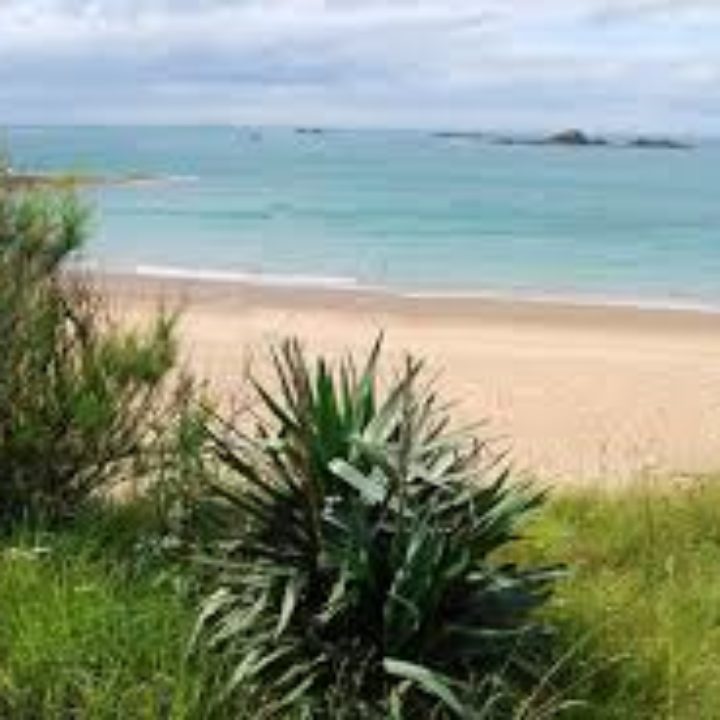 AAD Bretagne permanences Ille-et-Vilaine en 2023